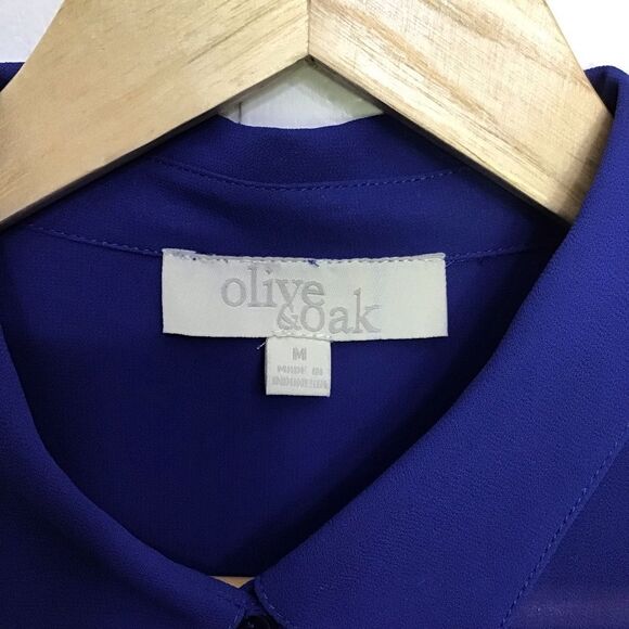OLIVE & Oak blue button down shirt sheer cobalt blue shirt long sleeves medium - Picture 2 of 12